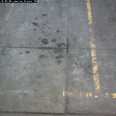 camara1_20090101_120036.jpg
