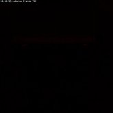 camara1_20090104_114550.jpg