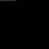 camara1_20090104_175233.jpg