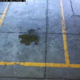 camara1_20091126_172144.jpg