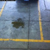 camara1_20091126_173144.jpg