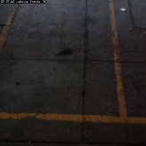 camara1_20100119_072743.jpg