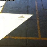 camara1_20100120_152056.jpg
