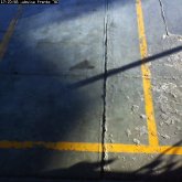 camara1_20100120_172056.jpg