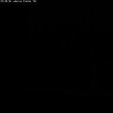 camara1_20100316_235835.jpg
